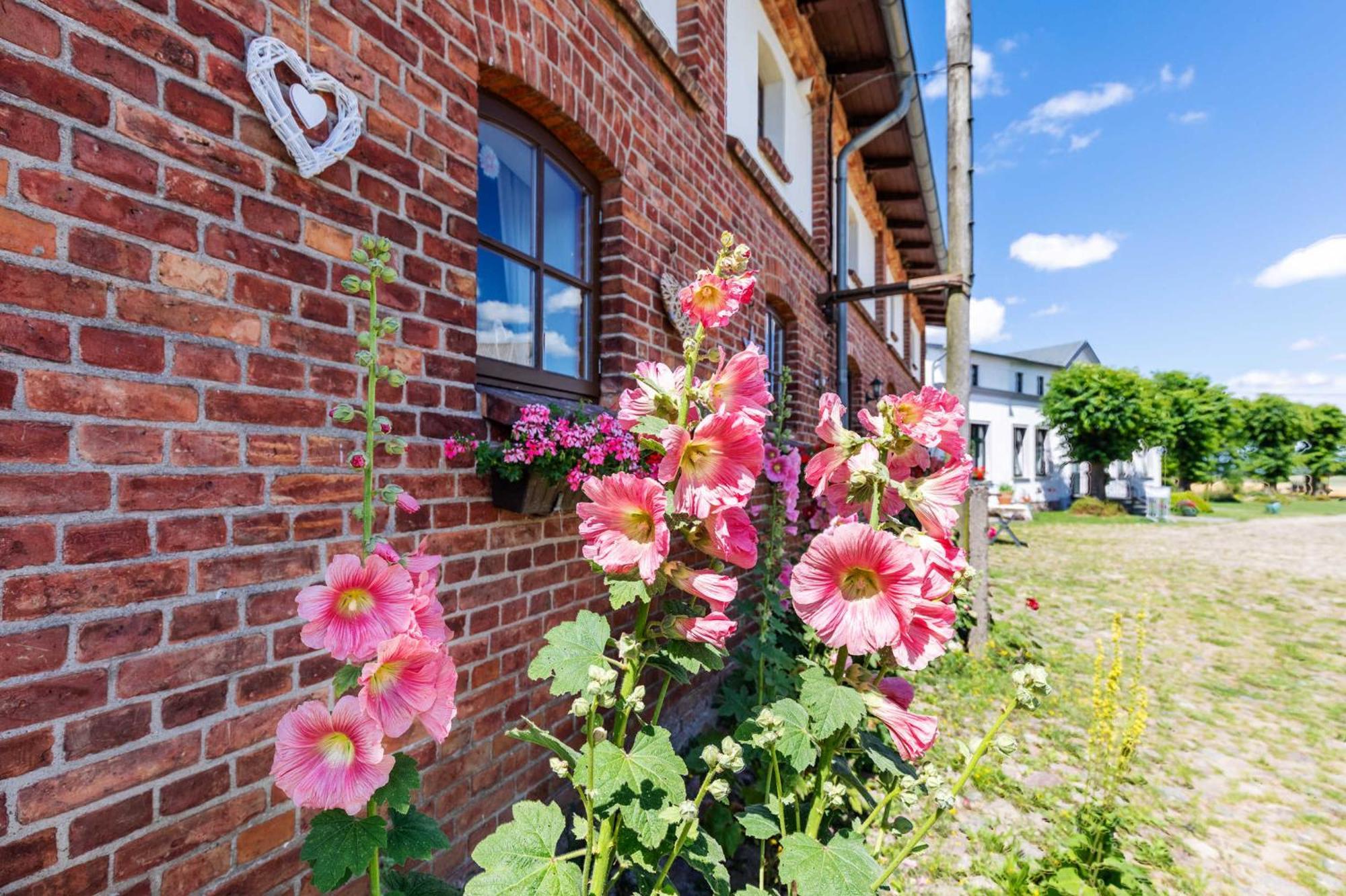 Ostsee Bauernhof Schwalbennest Ofc 15 Steffenshagen Esterno foto